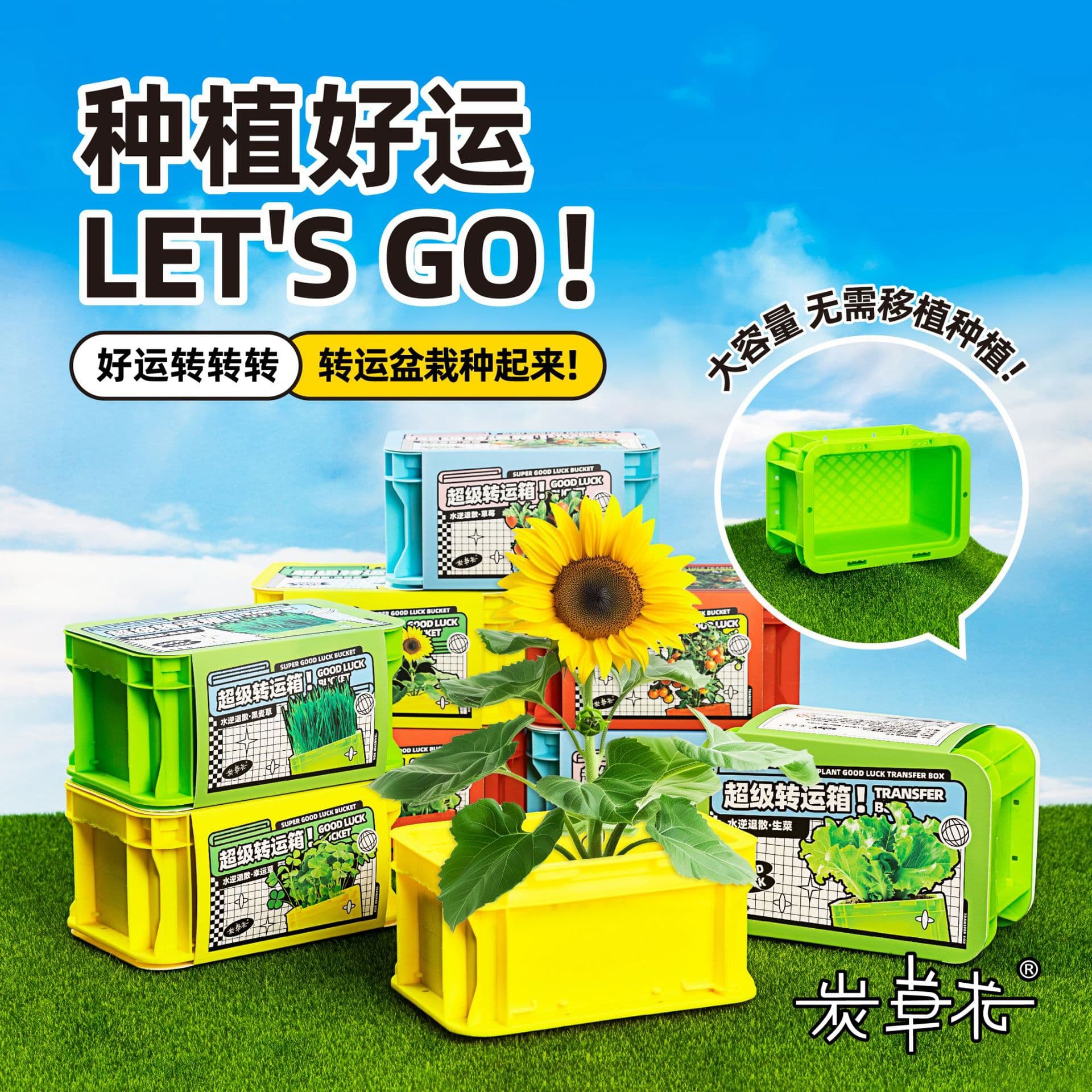 Flower pot plant planting, green plants, small potted plants, desktop flowers, bonsai blind box stores, wholesale plant science 1