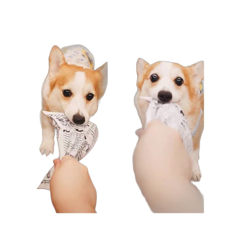 (Cross-border trading), toy, pet, makes sounds, getting rid of boredom 5