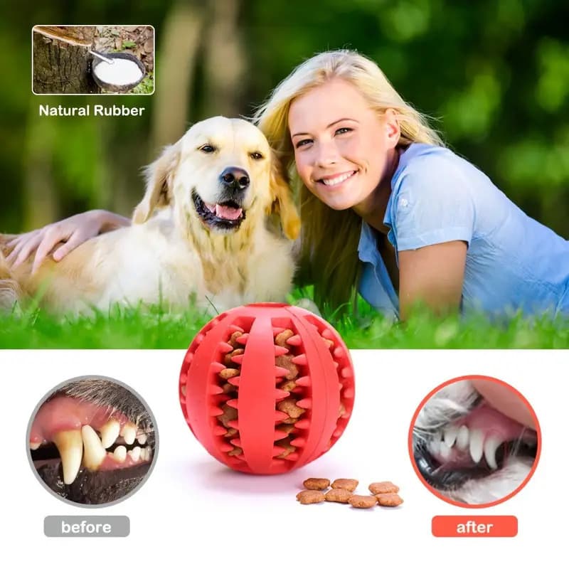 宠物玩具洁齿漏食球耐咬球大中小型犬漏食玩具解闷磨牙弹力漏食球 2