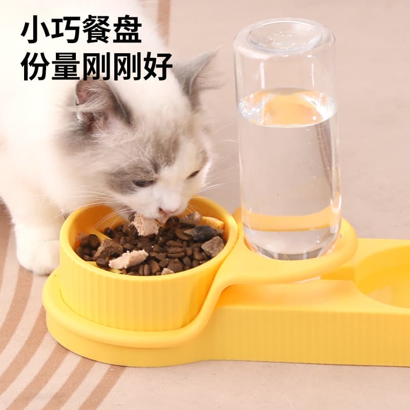 Cat Dog Automatic Water Bowl with Slow Feeder 2