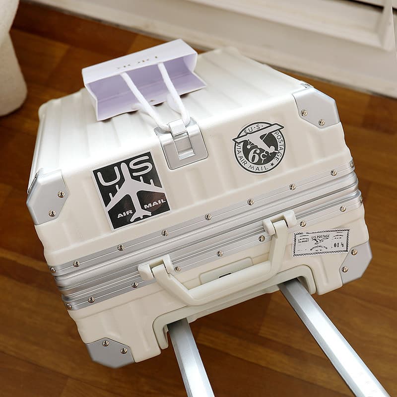 Capacious suitcase, glass holder for students, family style
