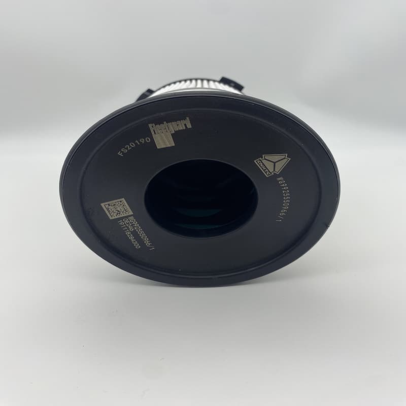 Adapted Sinotama Haowo T7 FS20190 WG992550966 FH21397 Oil and Water separator diesel filter 3