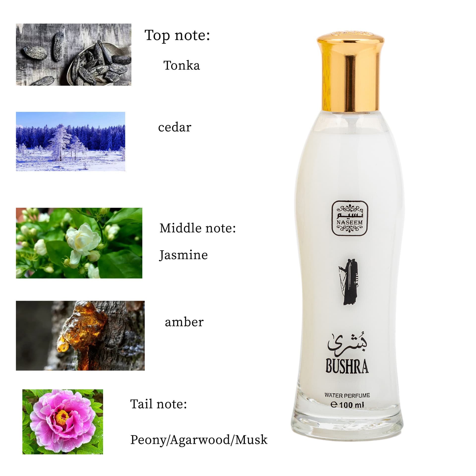 NASEEM PERFUME New Southeast Asian Brand Perfume Story Ms. Fragrant Somber Somber Skills Spray Wholesale 3