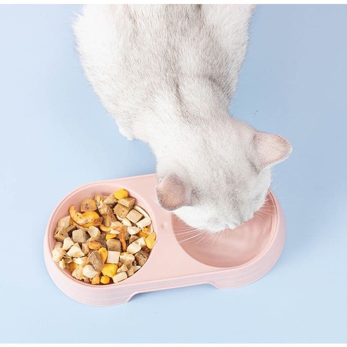 Dog Basin Pet Double Bowl Rice Dog Dog Automatic Drinking Water Pen Dog Dog Small Cat Dog Food Show Light Bowl 3