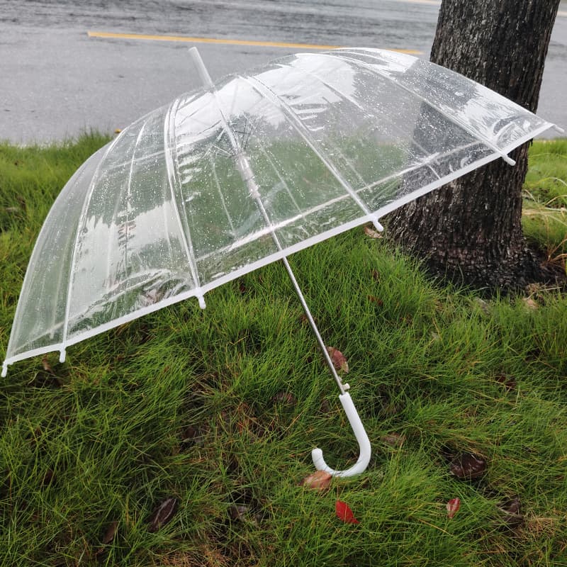 Cute glass umbrella, print, internet celebrity 2