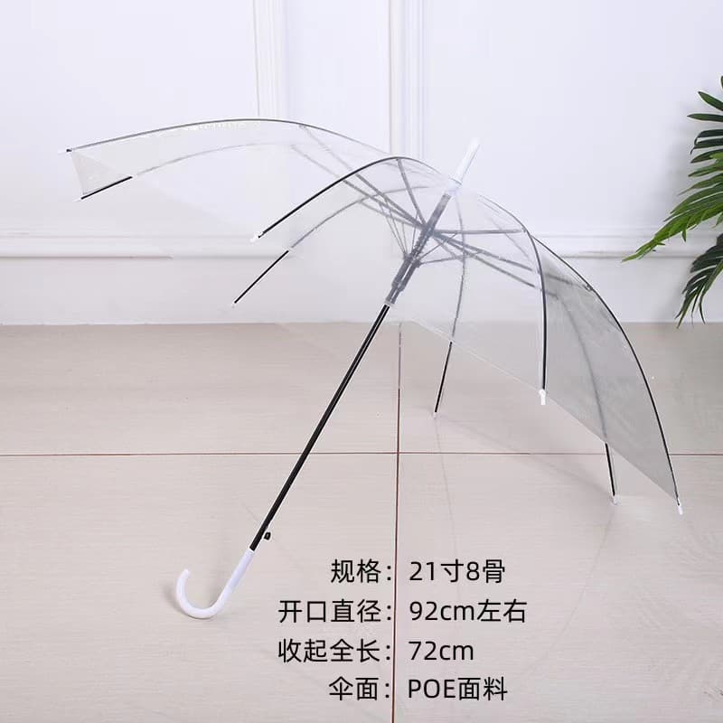 Cute glass umbrella, print, internet celebrity 4
