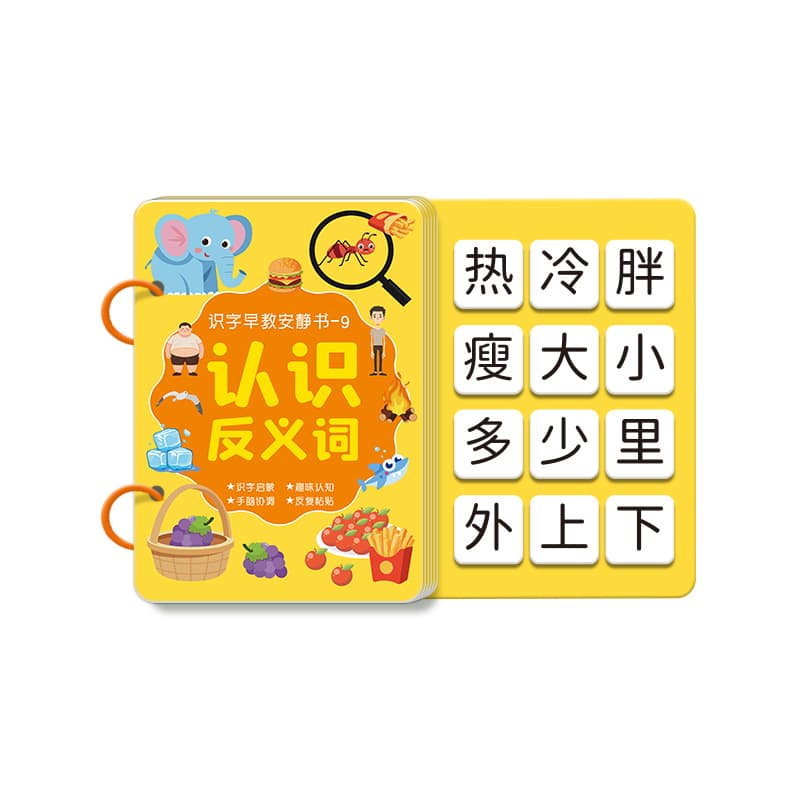 Smart toy for early age, literacy, 3-6 years, training, early education 5