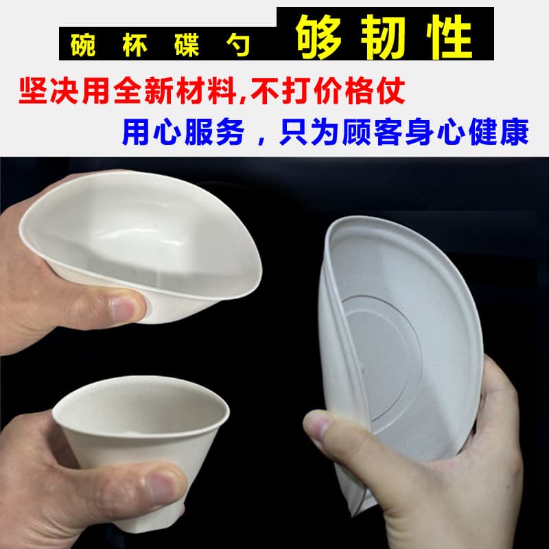 Disposable tableware, ecological set, 4 piece set, 3 piece set 2