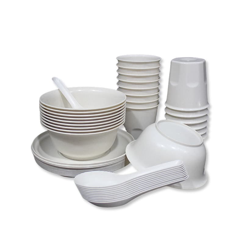Disposable tableware, ecological set, 4 piece set, 3 piece set 5