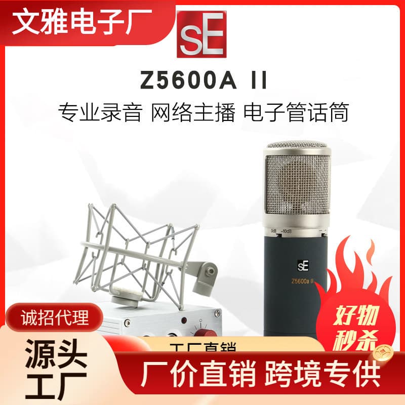 SE Electronics Z5600A II Multi-Pattern Recording Microphone 1