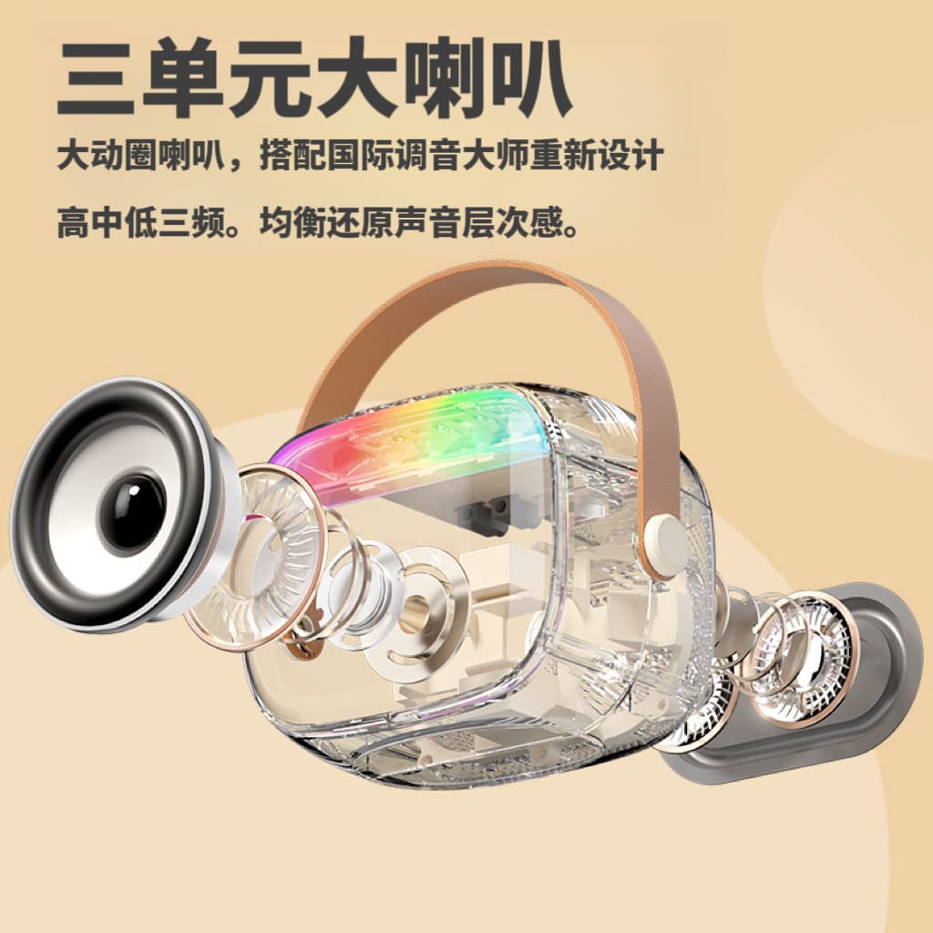 Travel handheld speakers, microphone, bluetooth 2