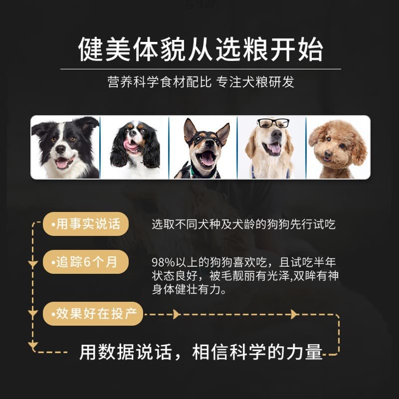 Universal dog food 10 catties Teddy Bibo US golden hair Labrador 40 large and small 20kg adult dog 5 catties factory 2