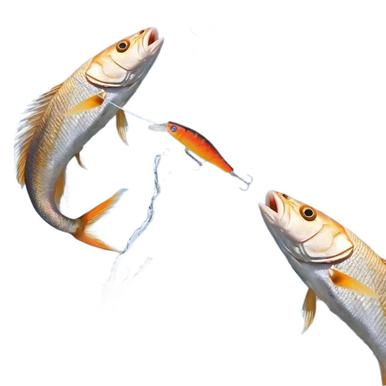 24 Days Christmas Countdown Fish Tackle Set 5