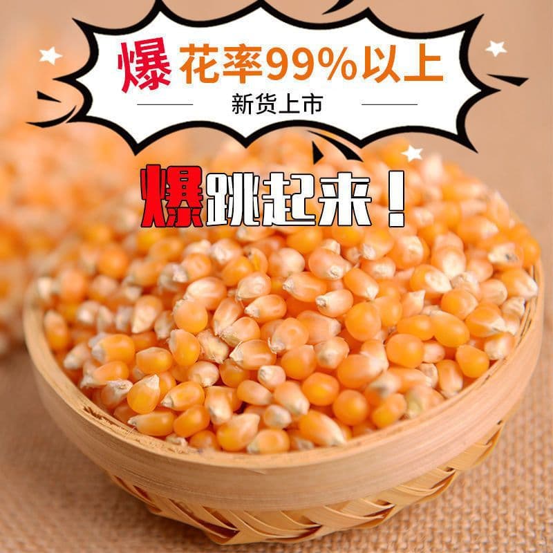 Seasonal new popcorn corn kernels, ready-to-eat corn buds, rice kernels, spherical popcorn raw materials manufacturers ship 4