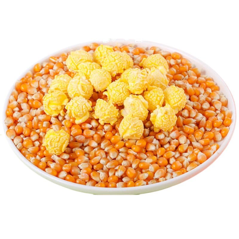 Seasonal new popcorn corn kernels, ready-to-eat corn buds, rice kernels, spherical popcorn raw materials manufacturers ship 5