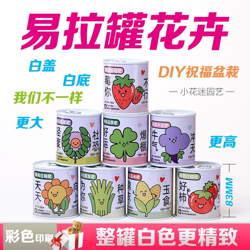 Children's Day gift canned plants blind box desktop small potted plants student flowers and green plants are good for feeding seeds potted plants 1