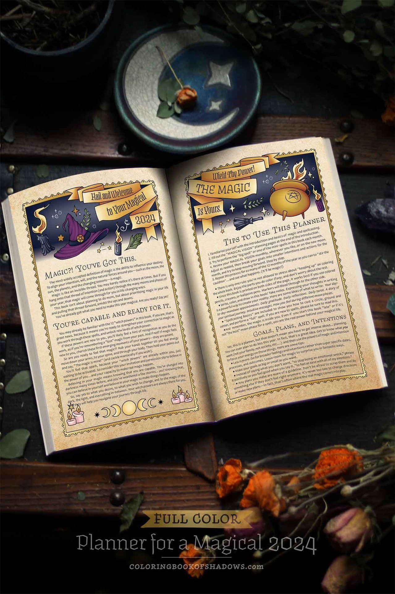 Cross -border new product Planner for a Magical 2024 Planner Illustration Magic Book 3