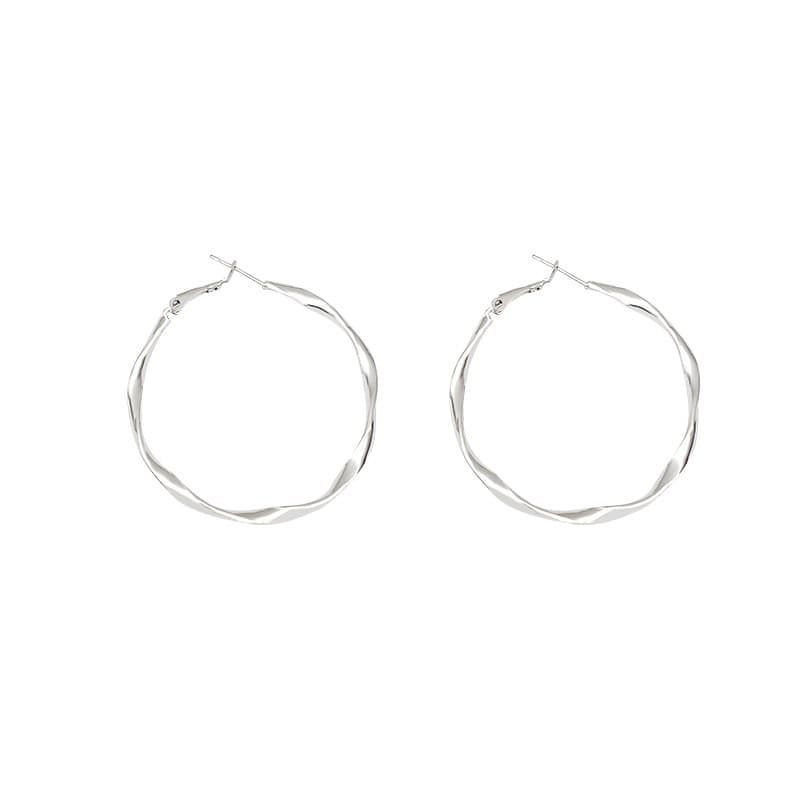 Fashionable universal hoop earrings, silver 925 sample, European style, high-quality style 5