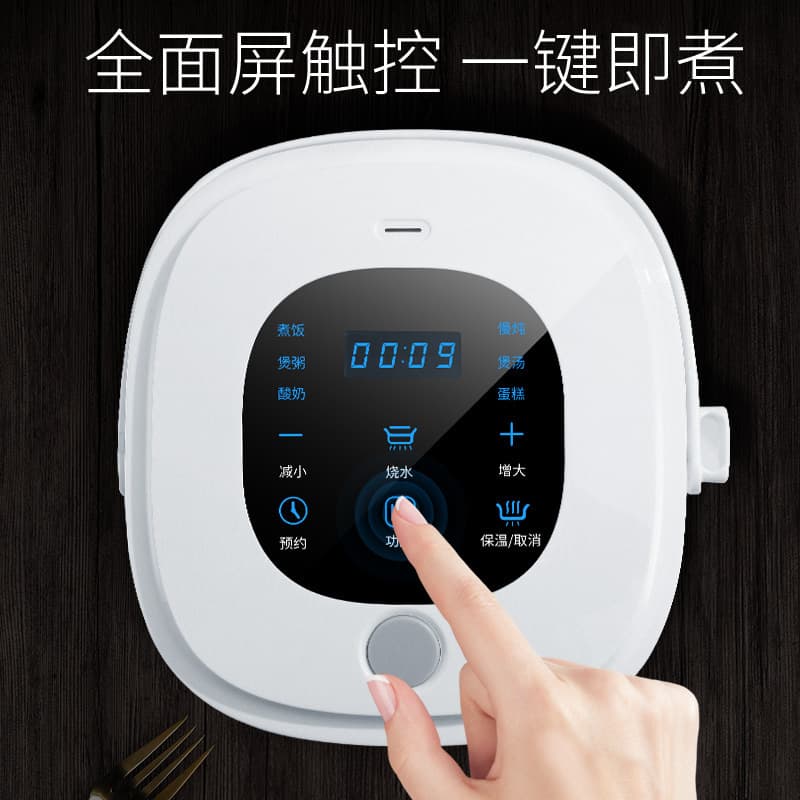 (Cross-border trading), universal smart rice cooker, 12v, 24v, 220v 2