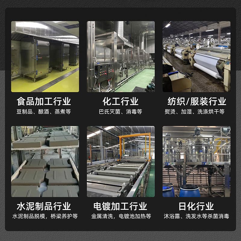 Gas steam generator Small industrial boiler for cooking soy milk and food Commercial chemical gas steam generator 2