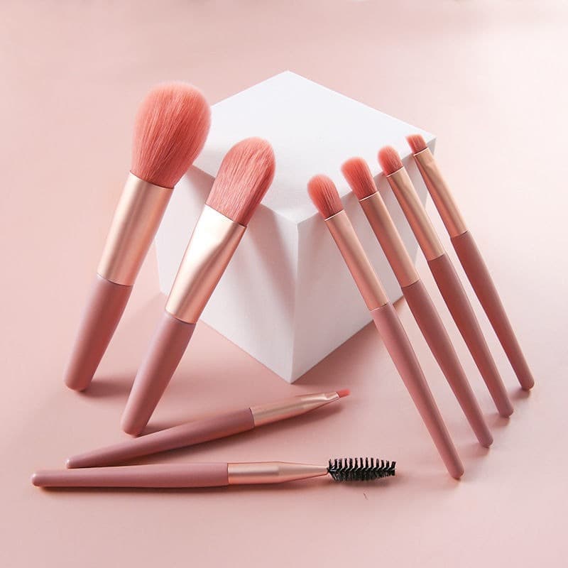 Small handheld brush, storage system, 8 pieces, (Physicals) 2