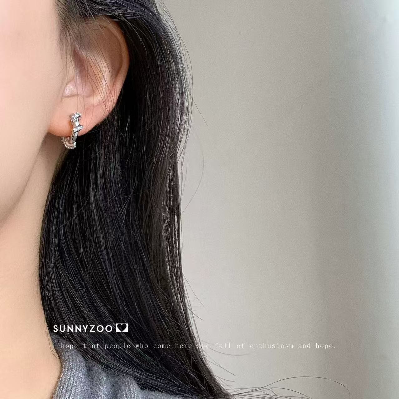 Brand sophisticated earrings with zircon, micro incrustation, Japanese and Korean, light luxury style, simple and elegant design 2
