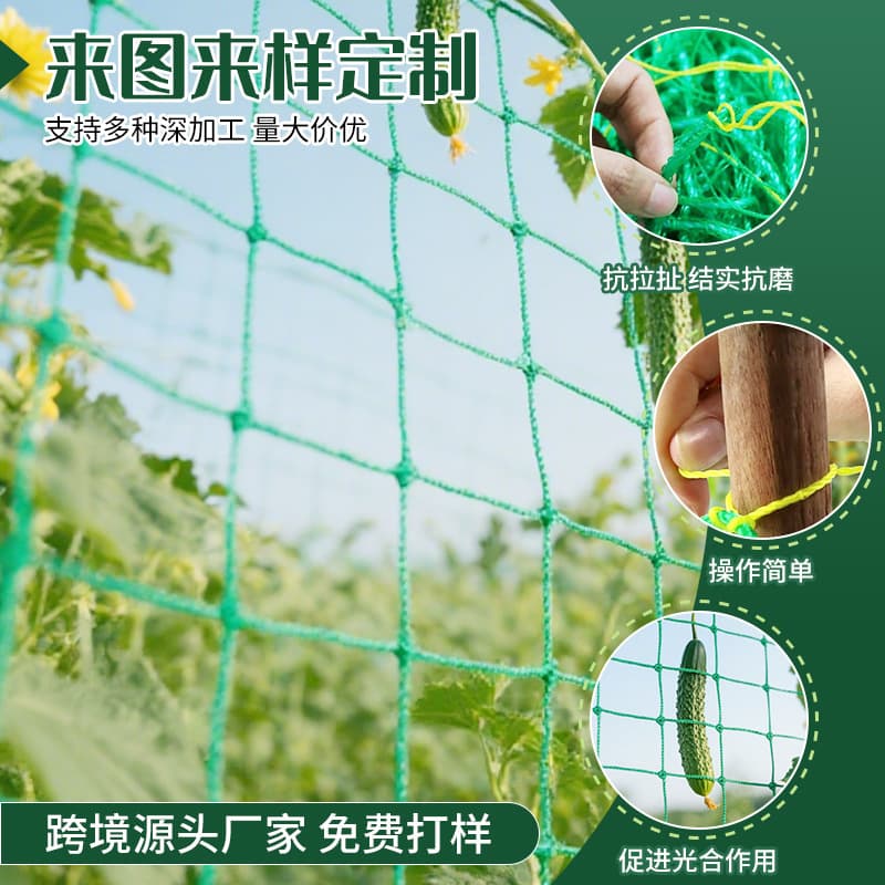Plant climbing net green gardening square grid cucumber hanging melon bonsai climbing bracket chrysanthemum wind resistance and lodging resistance 3