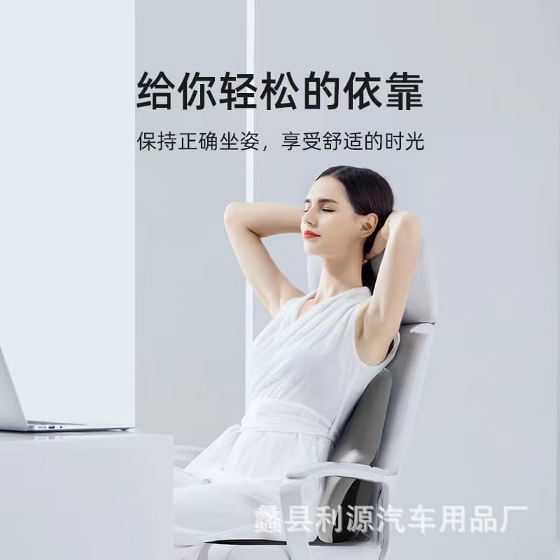 Famous and Young Office Waist Cushioning Poster Cushion Cushioning Limbolo Pillow Pillow Office Chair Waist Turphering Purgus Chair back to the back and waist cushion 3