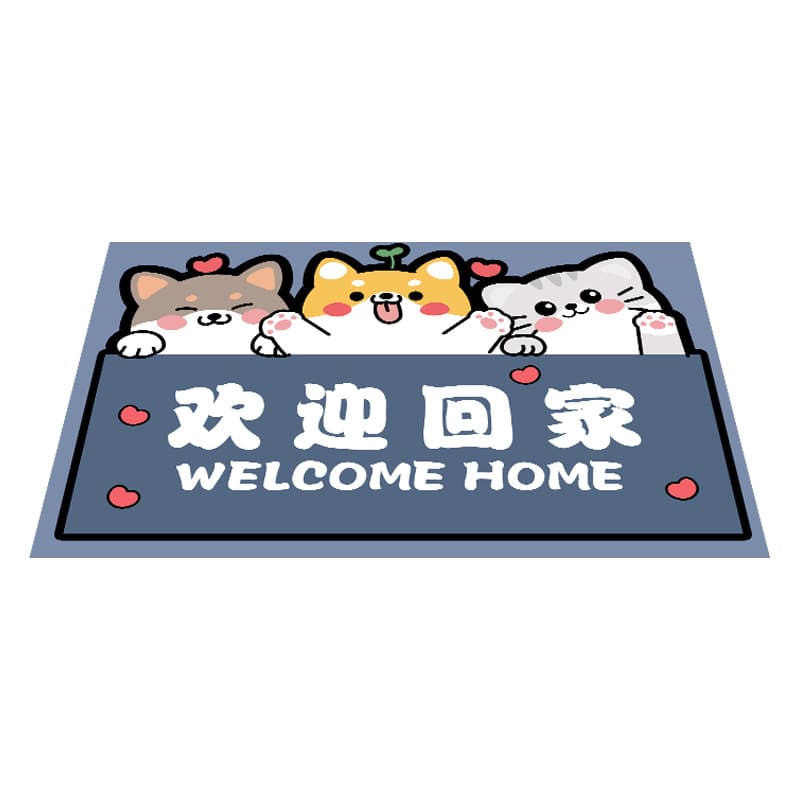 Non-slip carpet, wear-resistant doormat, 3D, water absorbent 5