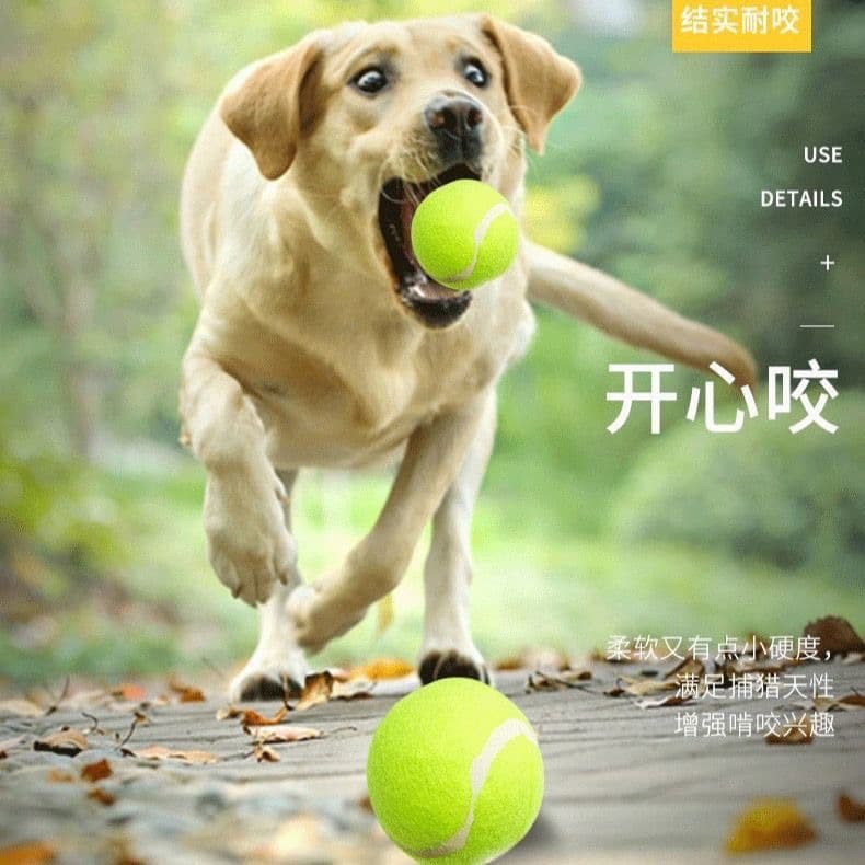 Toy, tennis rubber elastic mesh for training, can bite, pet 3