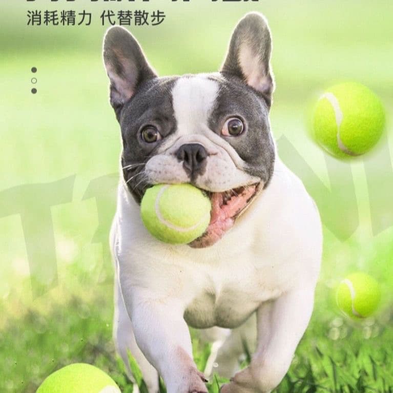 Toy, tennis rubber elastic mesh for training, can bite, pet 4