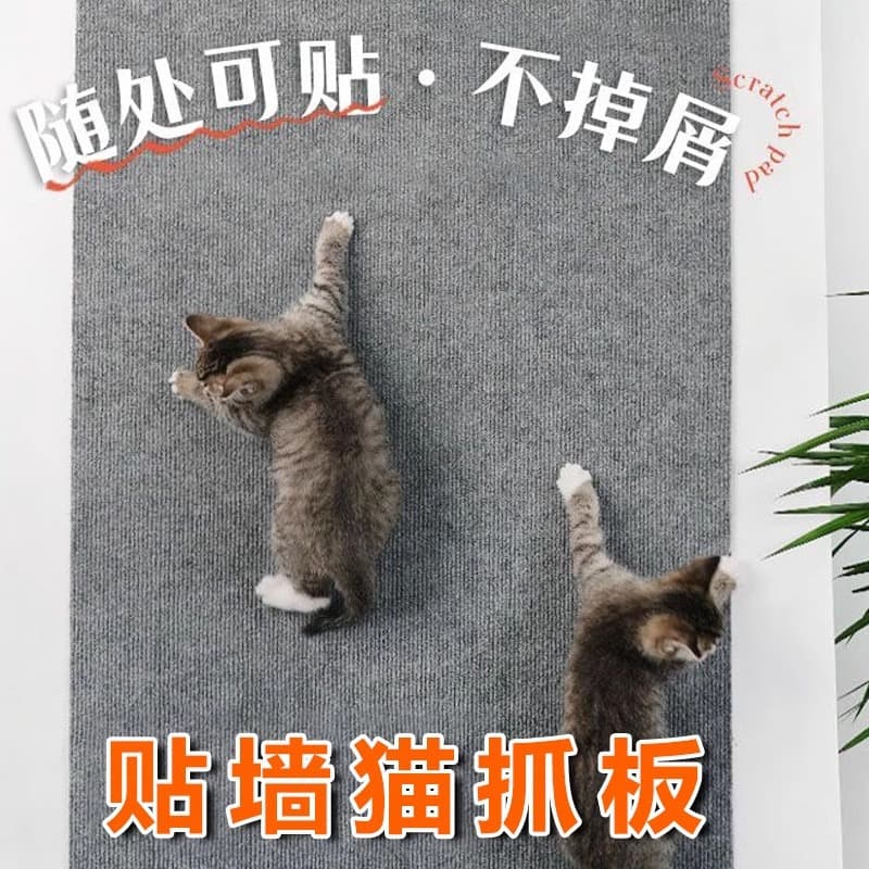 Wear-resistant harmless toy, cat, can climb 2