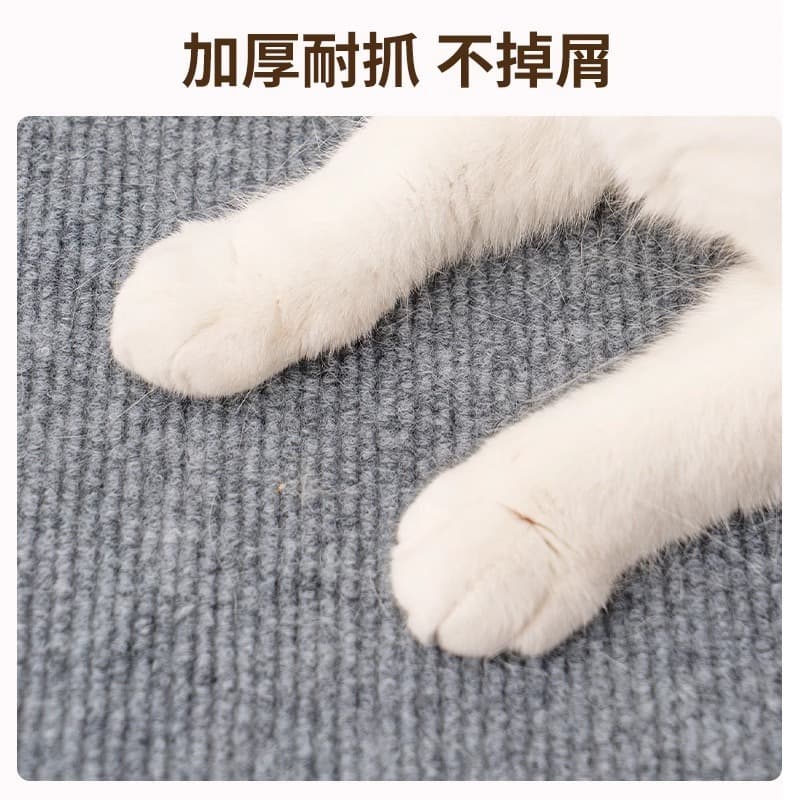 Wear-resistant harmless toy, cat, can climb 3