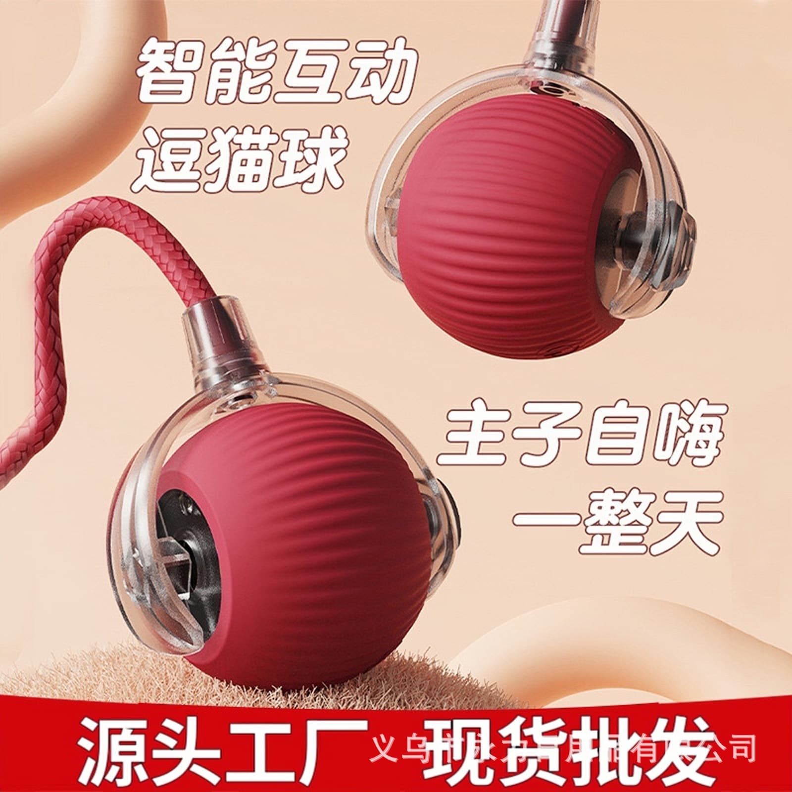 Smart toy, cat, getting rid of boredom, kitten, pet