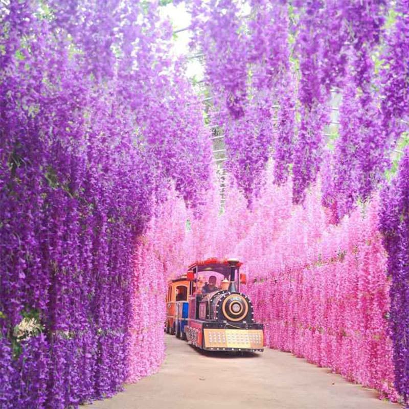 Simulated wisteria flower simulated flower ceiling flower vine wedding decoration lilac flower fake flower bean flower vine encrypted flower 2