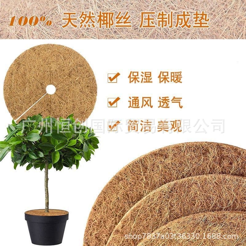 Coconut pavement bonsai pavement grass flower pot soil surface decorative grass -bird nest coconut silk coconut coconut coconut palm coconut brown silk 2