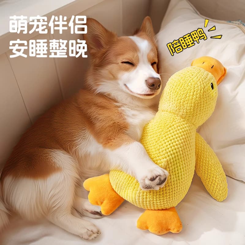 B.Duck, toy, interactive plush doll, getting rid of boredom, pet 2