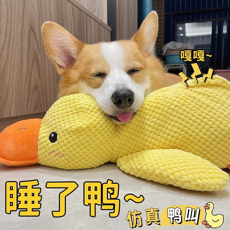 B.Duck, toy, interactive plush doll, getting rid of boredom, pet