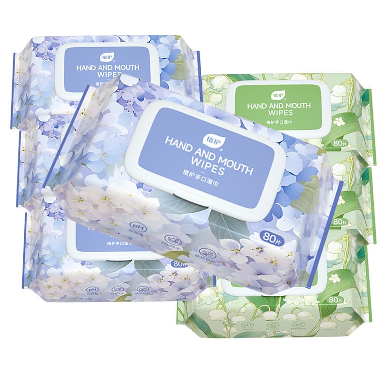 Baby Wipes EDI Pure Water Large Size Home Value Pack 5
