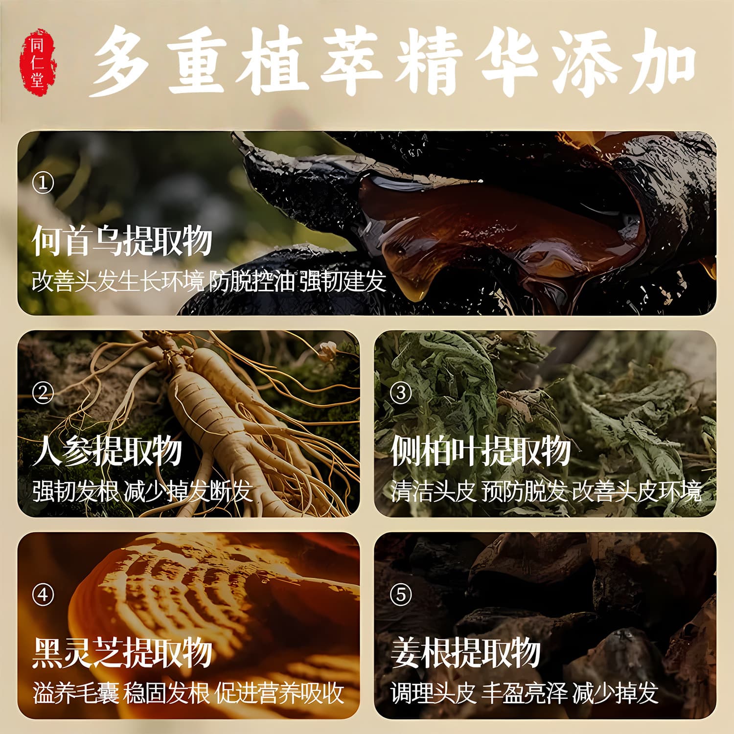 Tongrentang, hair dye for gray hair, black herbal dye for scalp 3