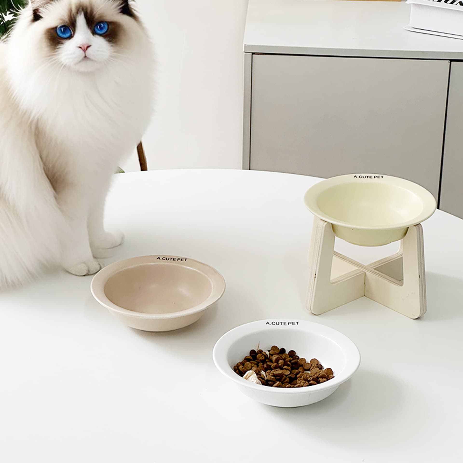 Cat bowl ceramic cat food bowl large diameter drinking water to increase elevated frame to protect the cervical vertebrae and high feet from overturning canned pet bowl 2