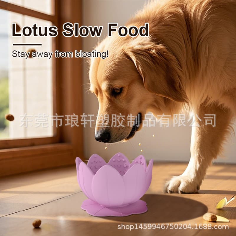 Amazon's new cross-border silicone pet slow food bowl cat and dog bowl anti-roll round cat and dog food utensils cat and dog food utensils 3