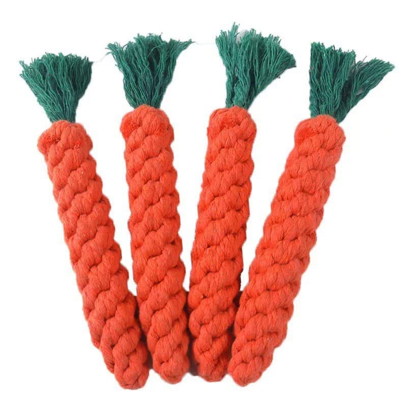 Toy, woven frisbee, set, pet 5