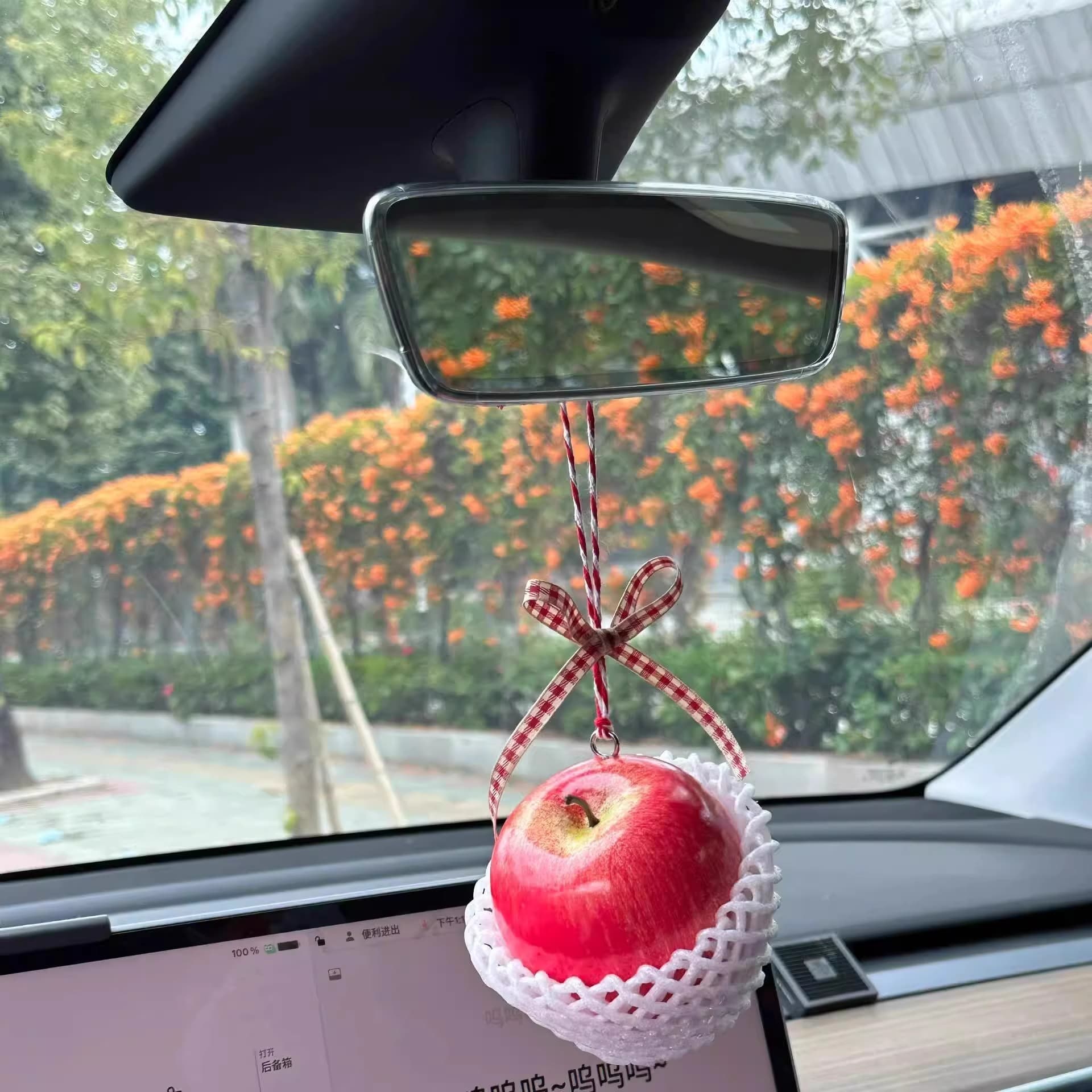 Apple, rear view mirror for car, realistic atmospheric pendant, anti-stress 2