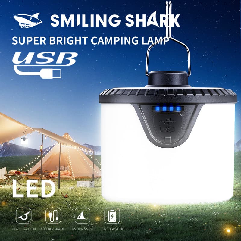 [Outdoor solar camping light with electronic display output] 1
