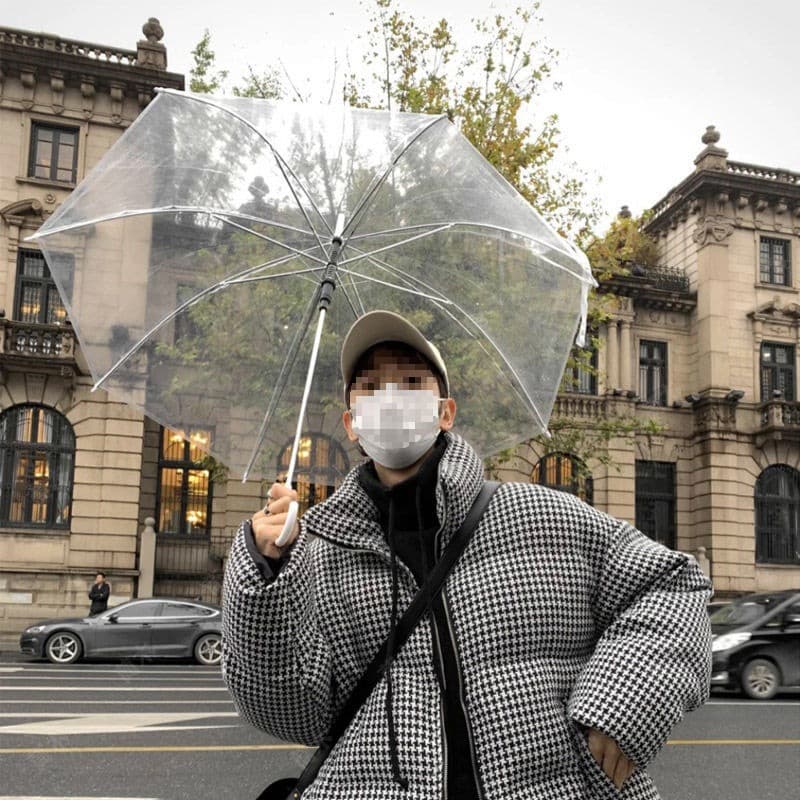 Fresh umbrella for students, Korean style, internet celebrity, increased thickness 2