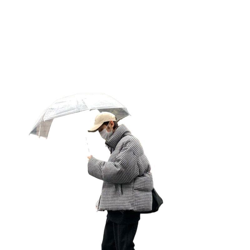 Fresh umbrella for students, Korean style, internet celebrity, increased thickness 5