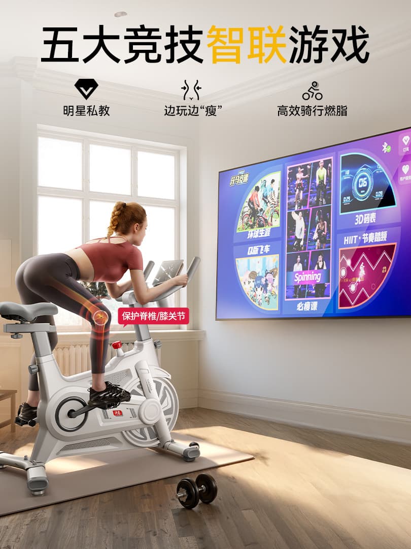 Dynamic bike, sports equipment for gym, Germany 2
