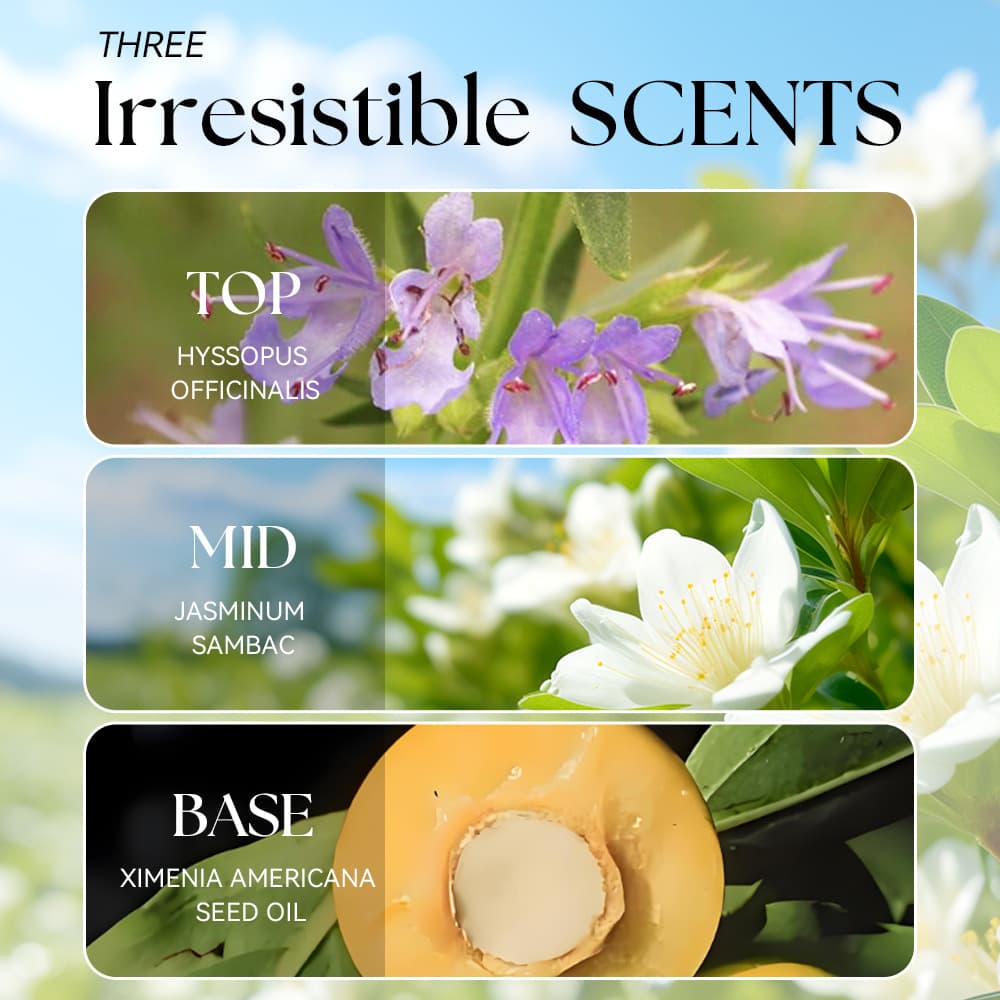 Cross -border explosion The Irresistible Sun Ms. Hair and Body Perfume Spray 100ml 3