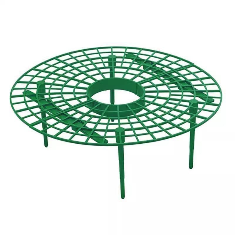 Family strawberry planting bracket bracket anti -corrosion rot and anti -falling simplicity support shelf frame art and flower tray standing artifact 5